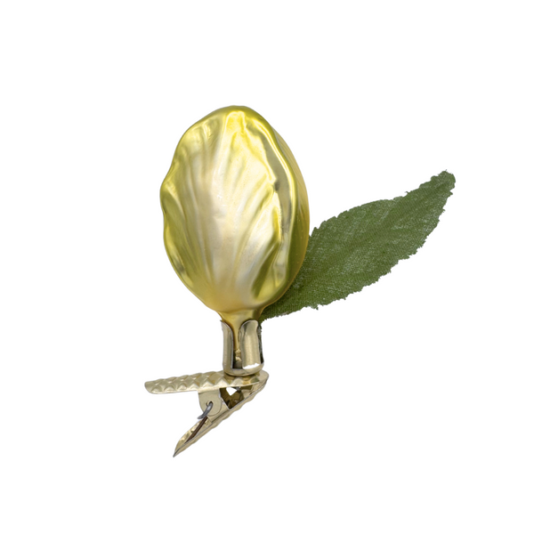 Yellow tulip small bud by Inge Glas of Germany