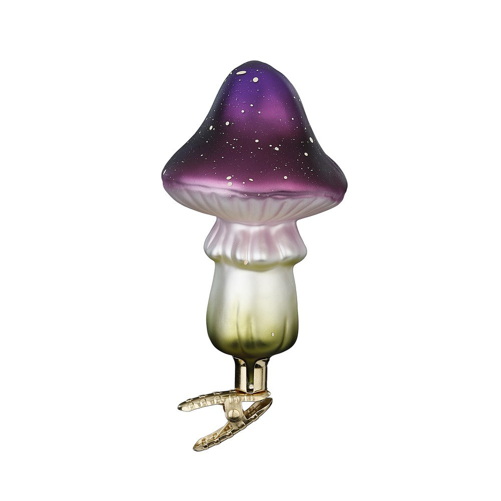 Russula by Inge Glas of Germany