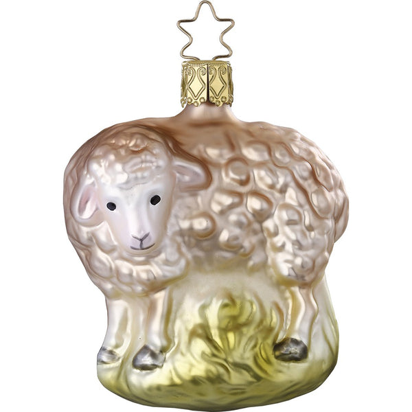Sheep by Inge Glas of Germany