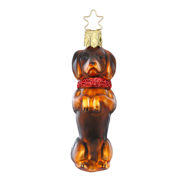 Dachshund Ornament, black by Inge Glas of Germany