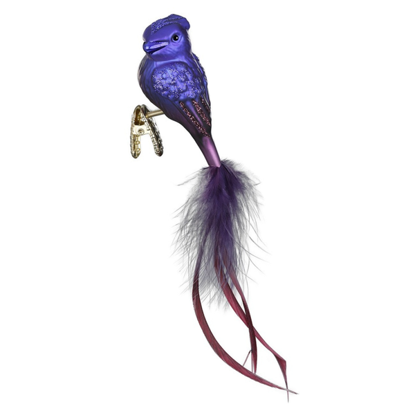 Seychelles Paradise Flycatcher Ornament by Inge Glas of Germany