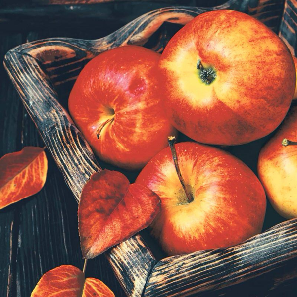 Apple Time Luncheon Size Paper Napkins