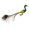 Peacock with crown and real feather, small, green by Glas Bartholmes