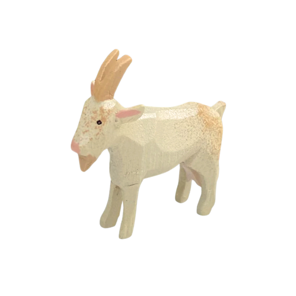 Ziege / Goat
