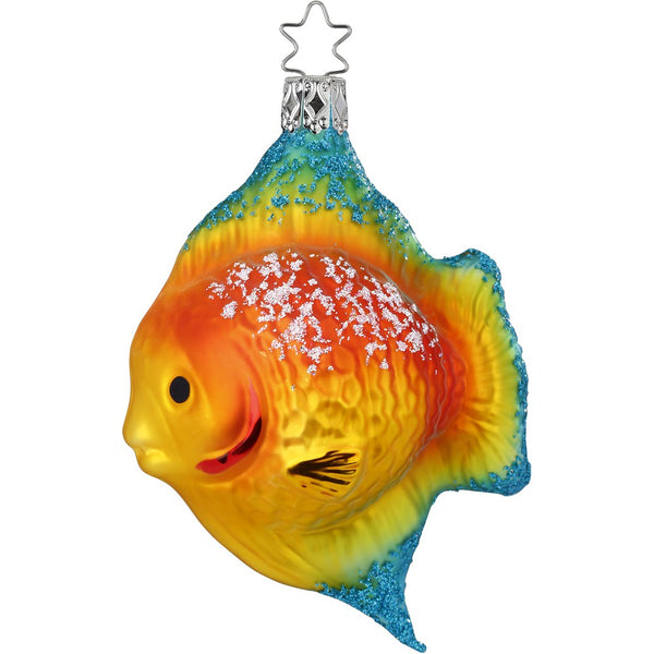 Yellow Angel Fish, 4.4''