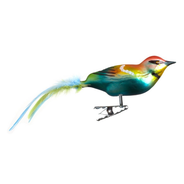 Bee-Eater Bird by Glas Bartholmes
