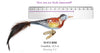Alpine Singer Bird Ornament by Inge Glas of Germany