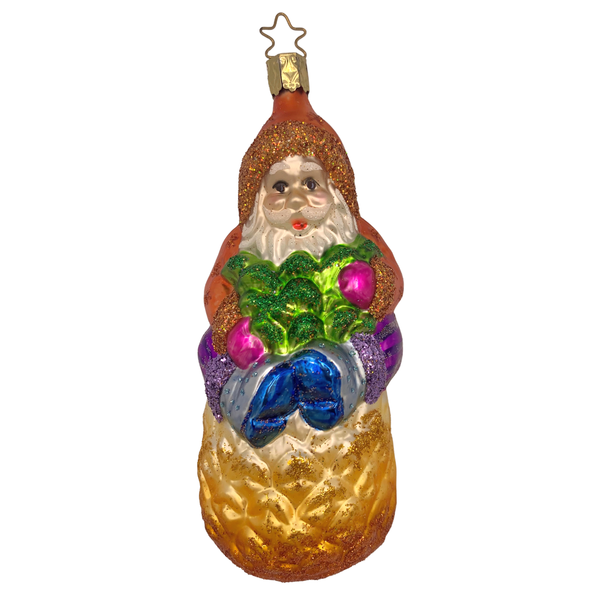 Caribbean Santa on Pineapple by Inge Glas of Germany