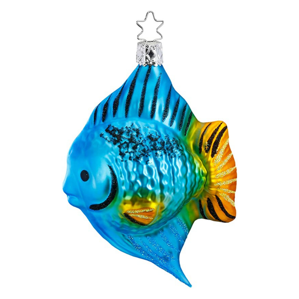 Blue Angel Fish by Inge Glas of Germany
