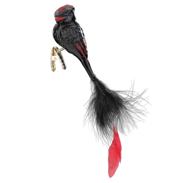 Feather Splendor Ornament by Inge Glas of Germany
