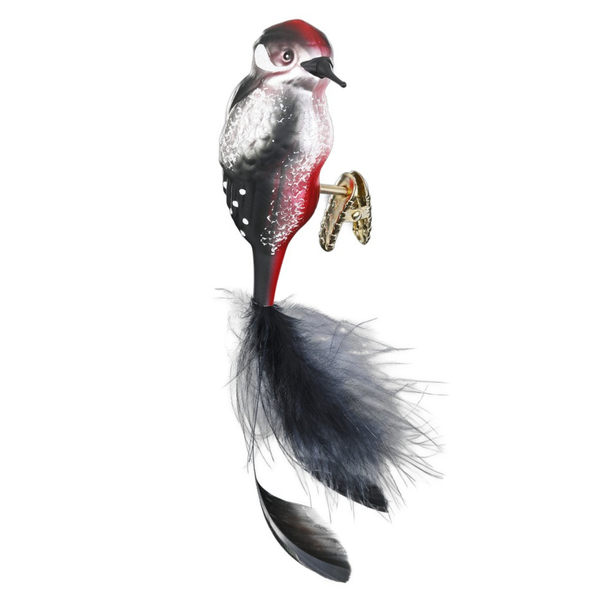 Spotted Woodpecker by Inge Glas of Germany