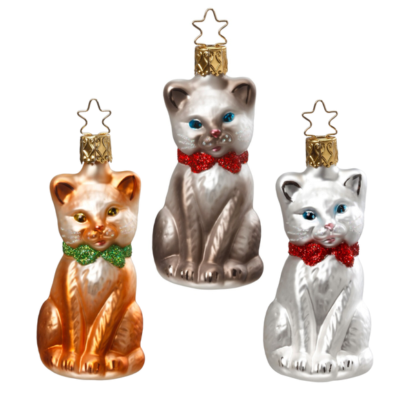 Purr-fect by Inge Glas of Germany
