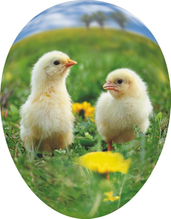 Young Animals 12cm Decoupage Cardboard German Fillable Easter Egg by Nestler GmbH