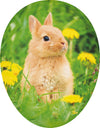 Young Animals 15cm Decoupage Cardboard GermanFillable Easter Egg by Nestler GmbH