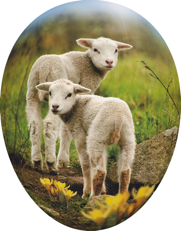 Young Animals 15cm Decoupage Cardboard GermanFillable Easter Egg by Nestler GmbH