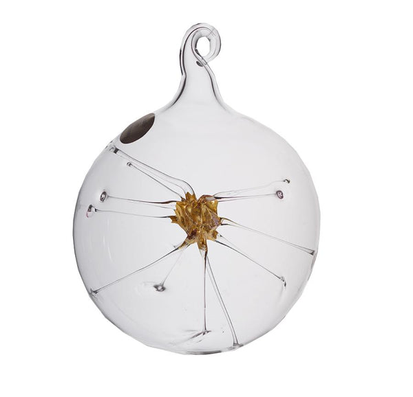 Starburst Ornaments, Clear by Grenier-Perth Glaskunst