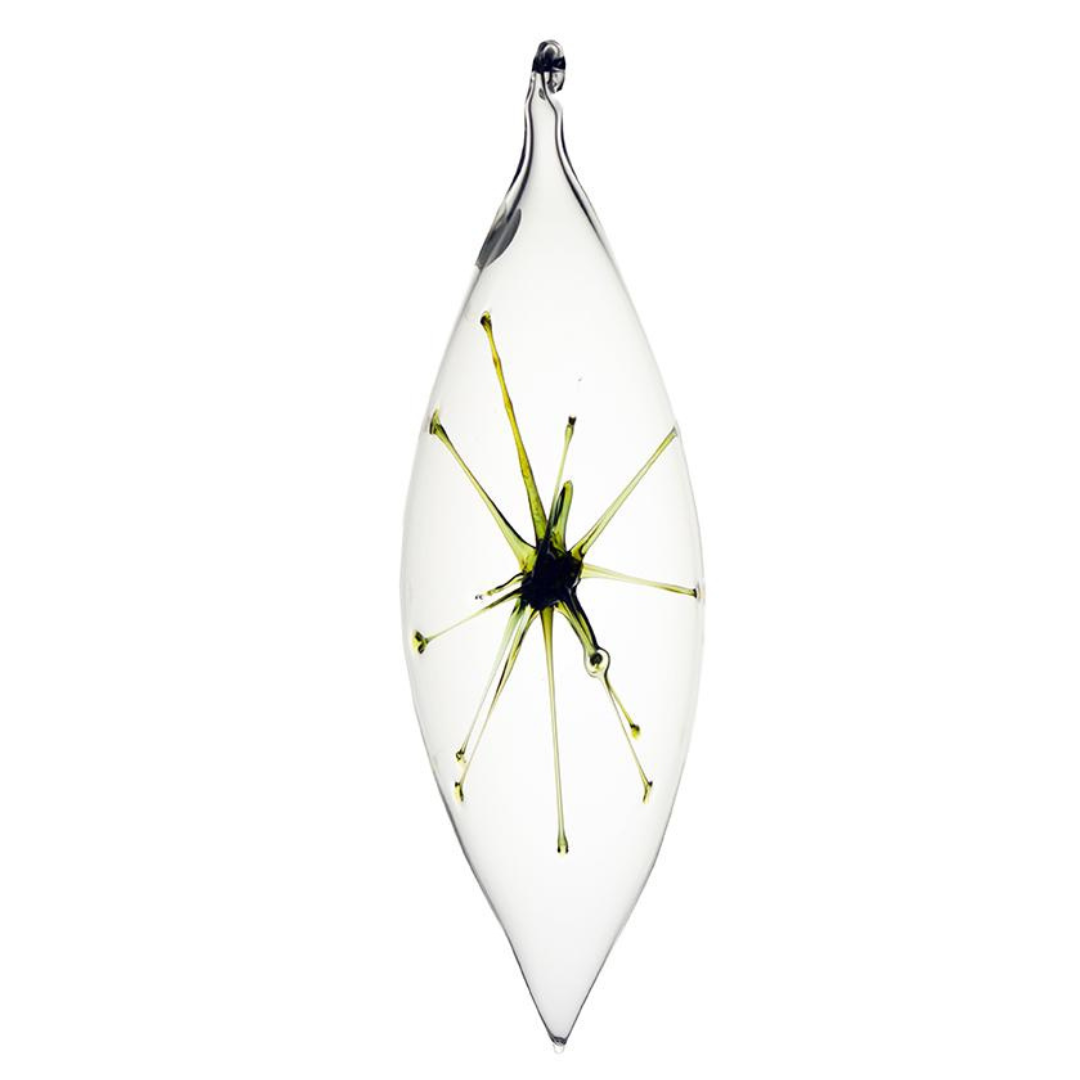 Starburst Olive Ornaments, Clear by Greiner-Perth Glaskunst