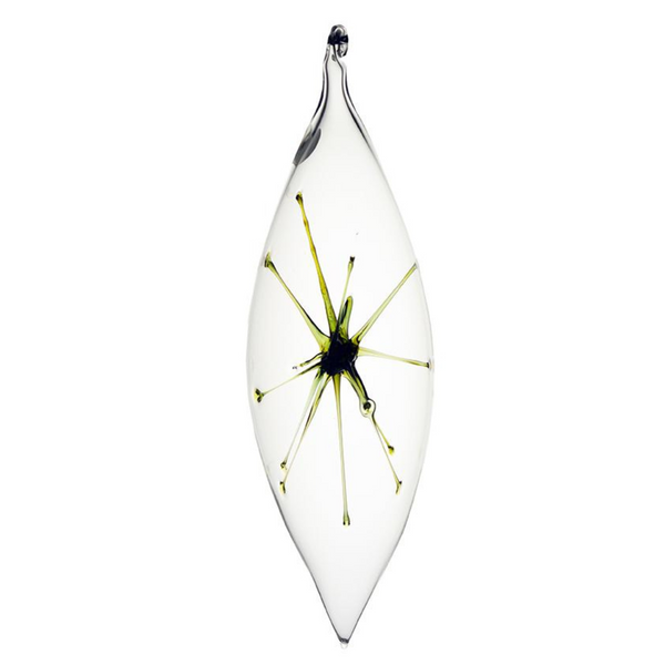 Starburst Olive Ornaments, Clear by Greiner-Perth Glaskunst