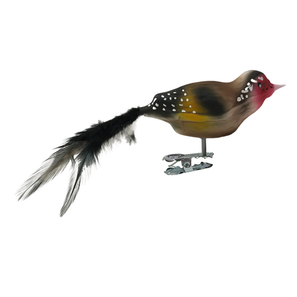 Goldfinch by Glas Bartholmes