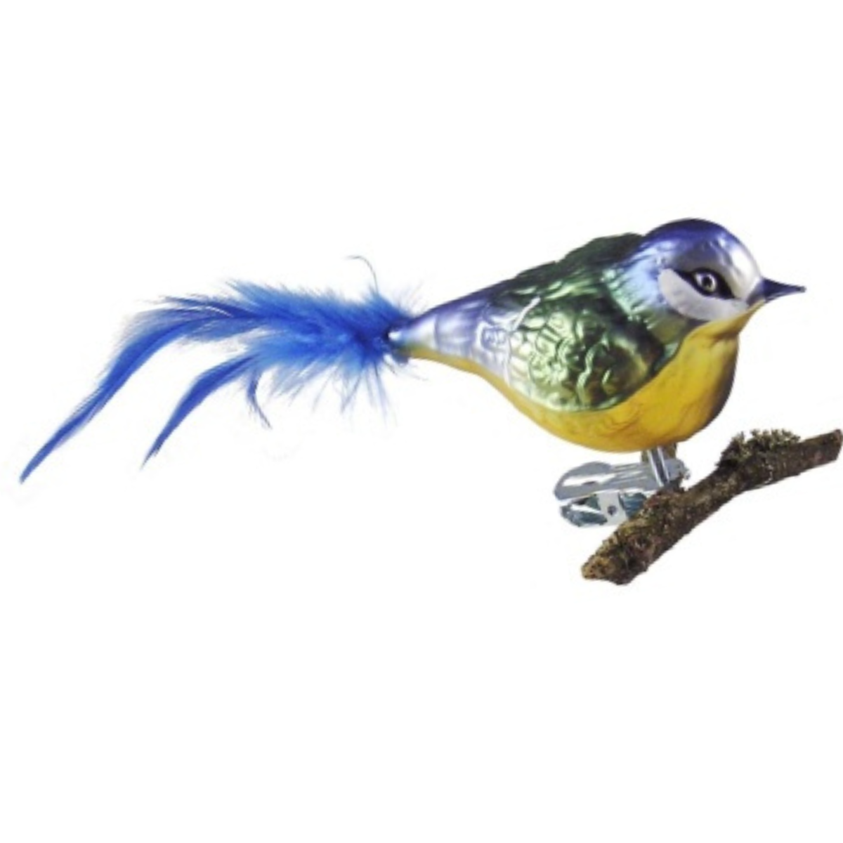 Blue Tit by Glas Bartholmes