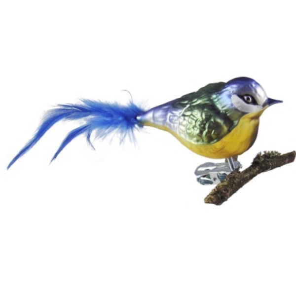Blue Tit by Glas Bartholmes