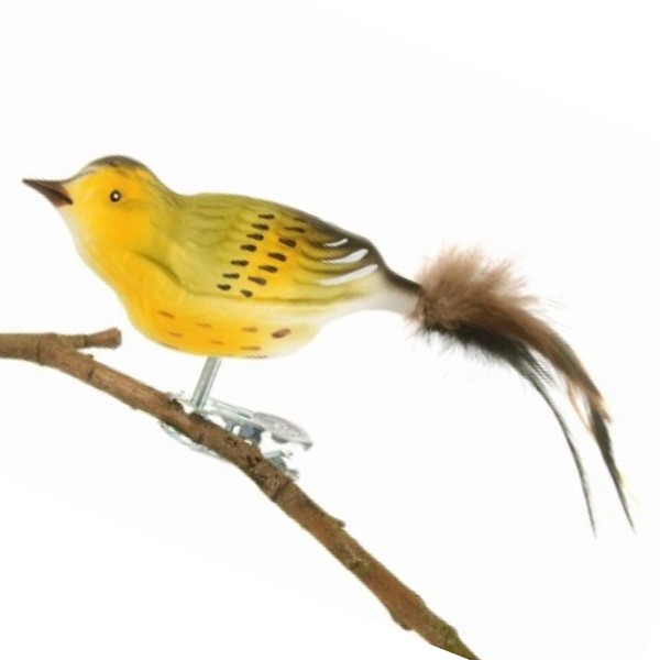 Siskin by Glas Bartholmes