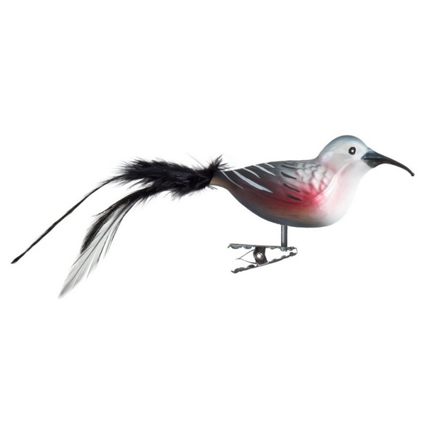 Wallcreeper by Glas Bartholmes