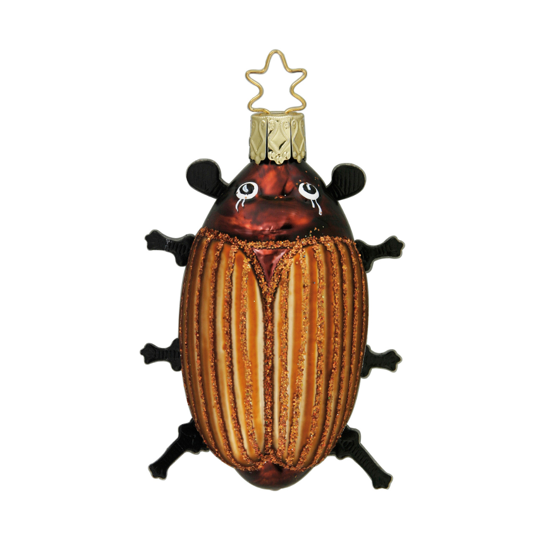 Creepy Crawly, May Beetle by Inge Glas of Germany