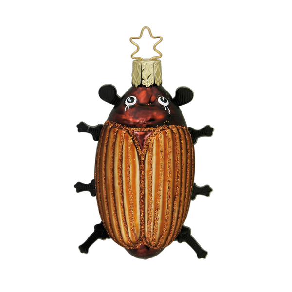 Creepy Crawly, May Beetle by Inge Glas of Germany