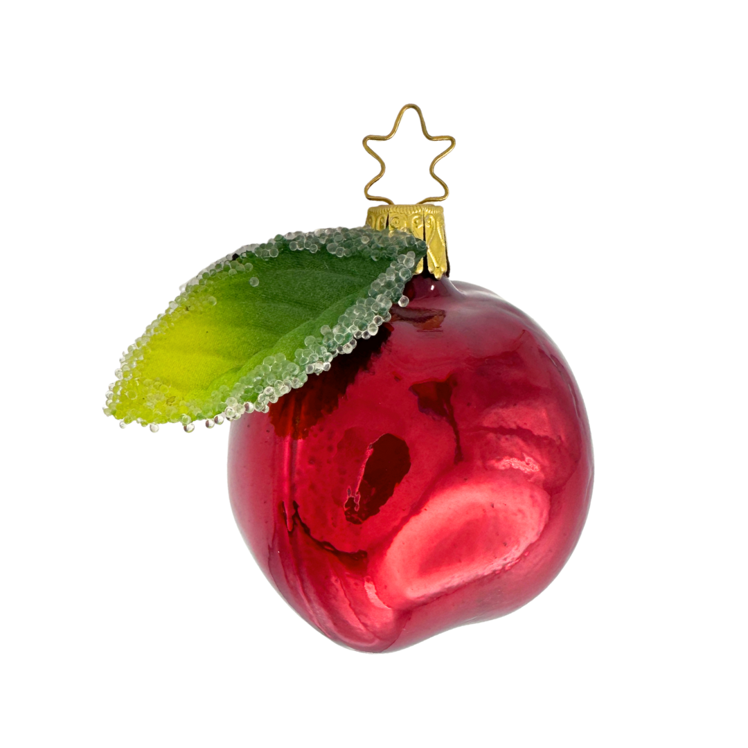 Apple, dark red by Inge Glas of Germany