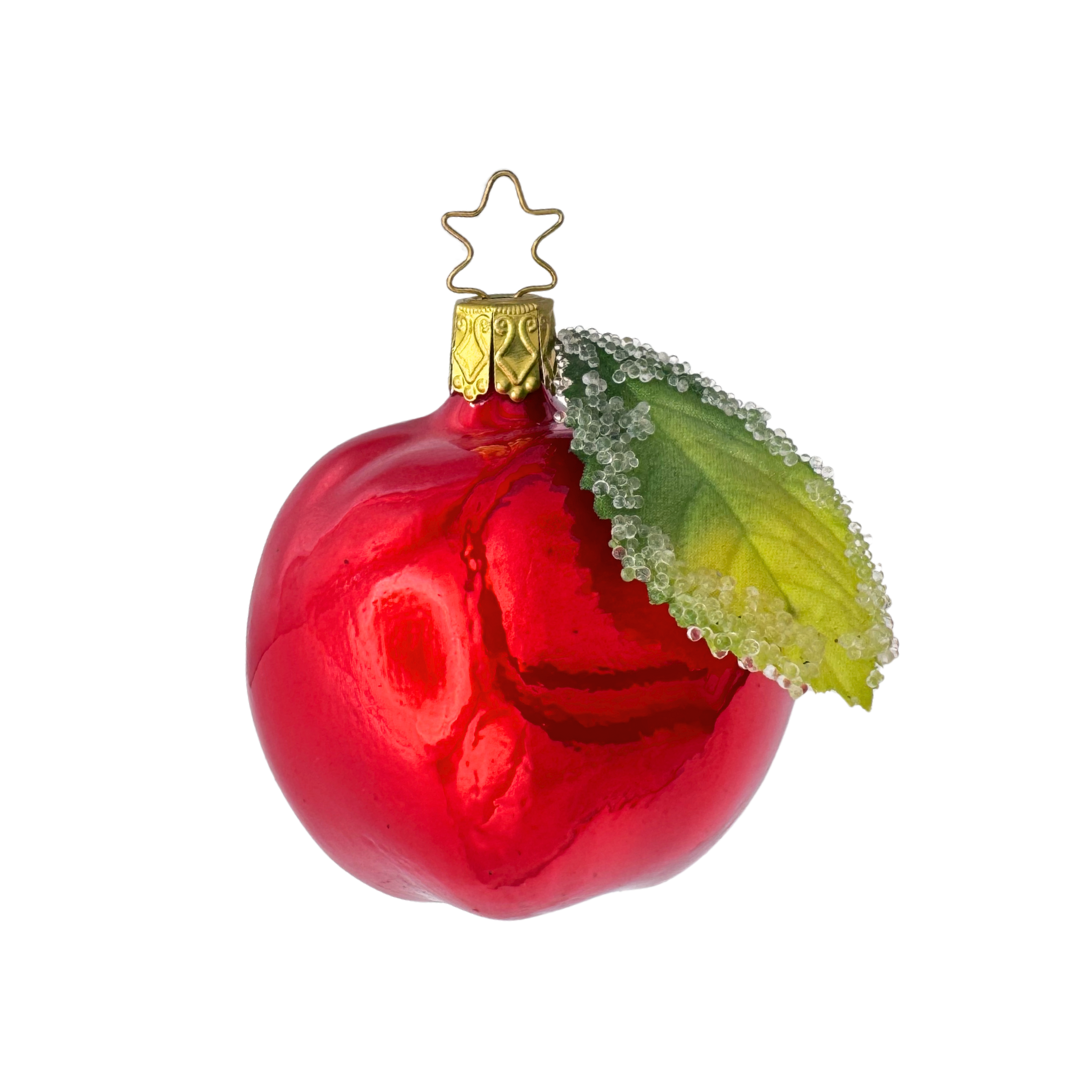 Apple, bright red by Inge Glas of Germany