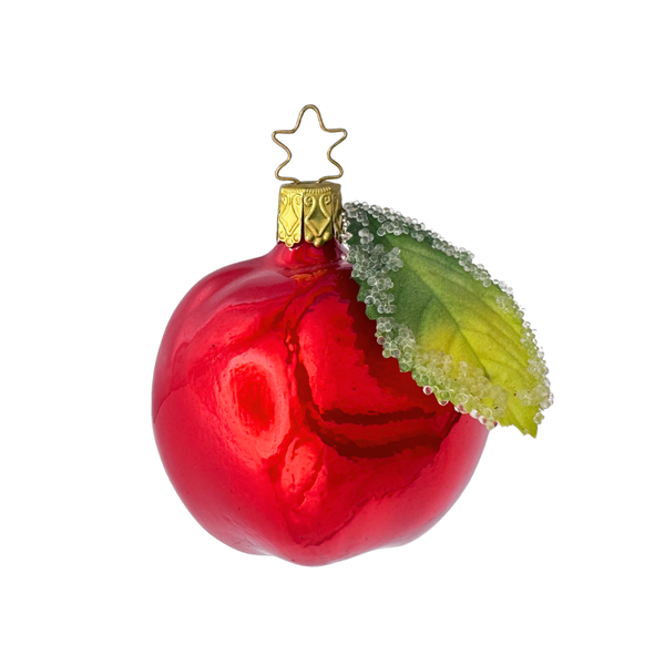 Apple, bright red by Inge Glas of Germany