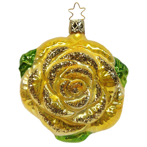 Apricot Golden Beauties Rose by Inge Glas of Germany