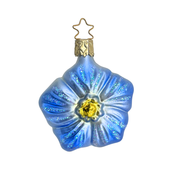 Cornflower by Inge Glas of Germany
