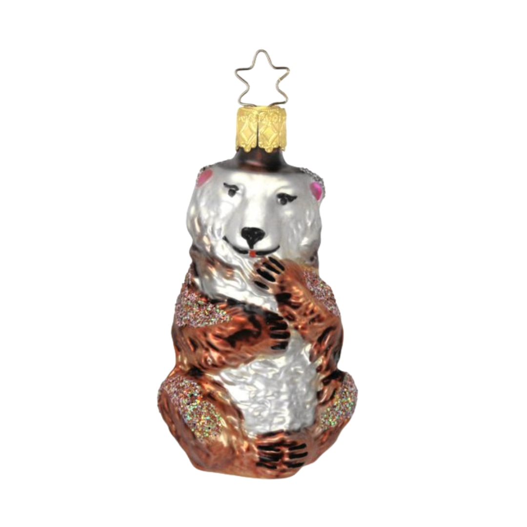 Grizzly Bear by Inge Glas of Germany