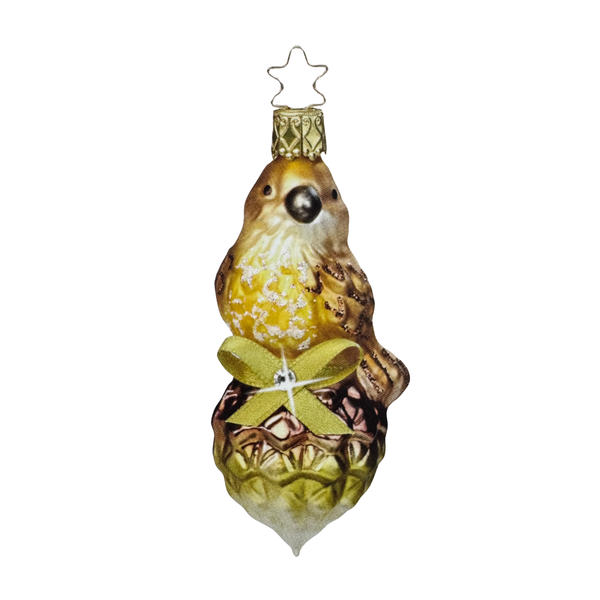 Fancy Perch by Inge Glas of Germany