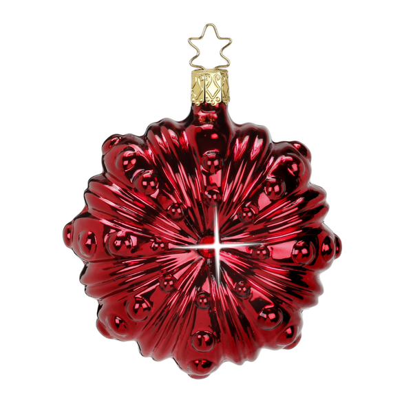 Fairy Eye, borolo shiny by Inge Glas of Germany