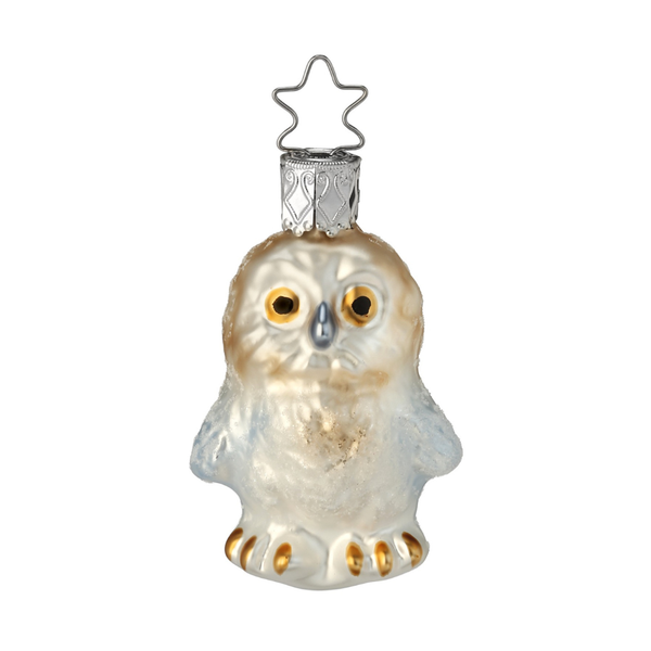 Young Winter Owl by Inge Glas of Germany