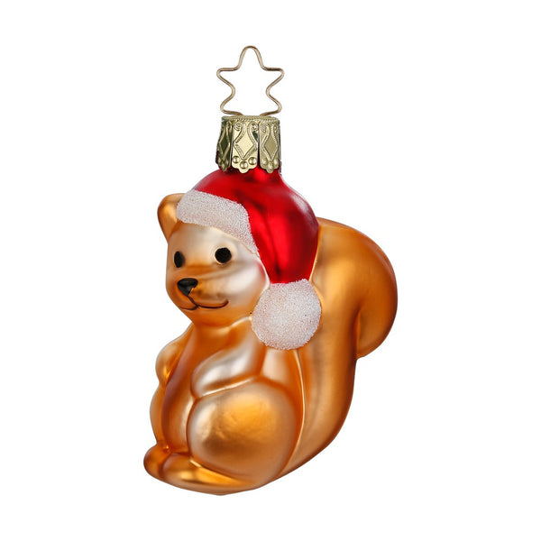 Christmas Squirrel by Inge Glas of Germany