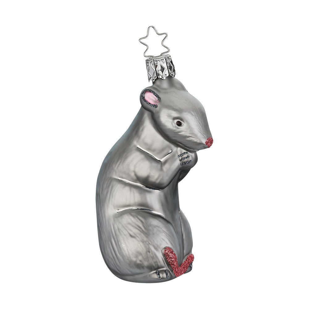Rat by Inge Glas of Germany