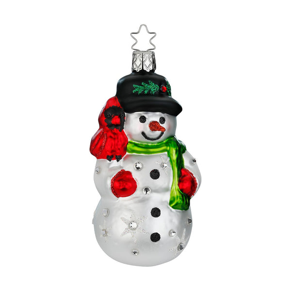 Dazzling Snowman by Inge Glas of Germany