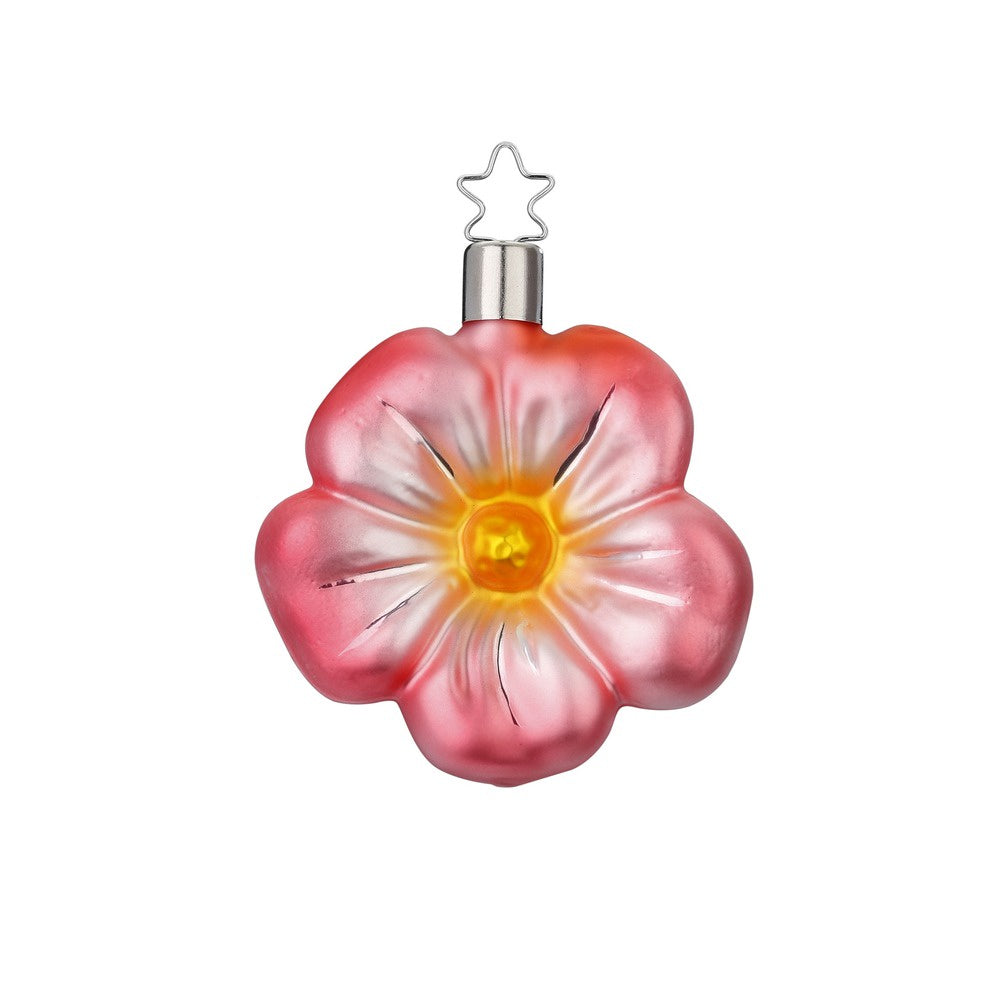 Gentle Blossom by Inge Glas of Germany