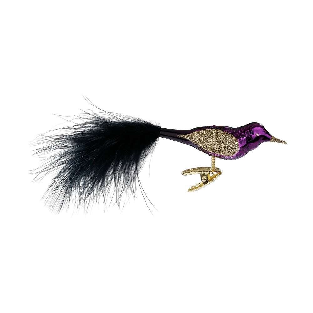 Elegant Feathers by Inge Glas of Germany