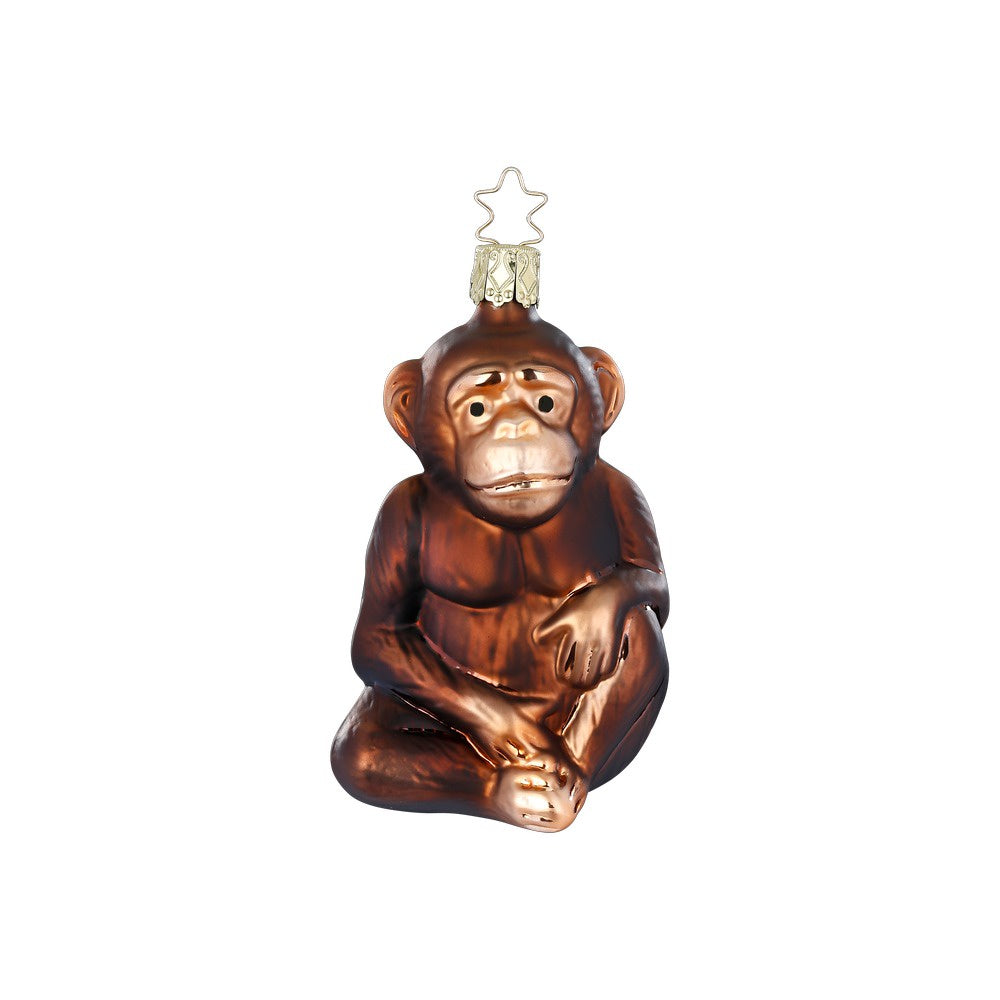 Monkey by Inge Glas of Germany