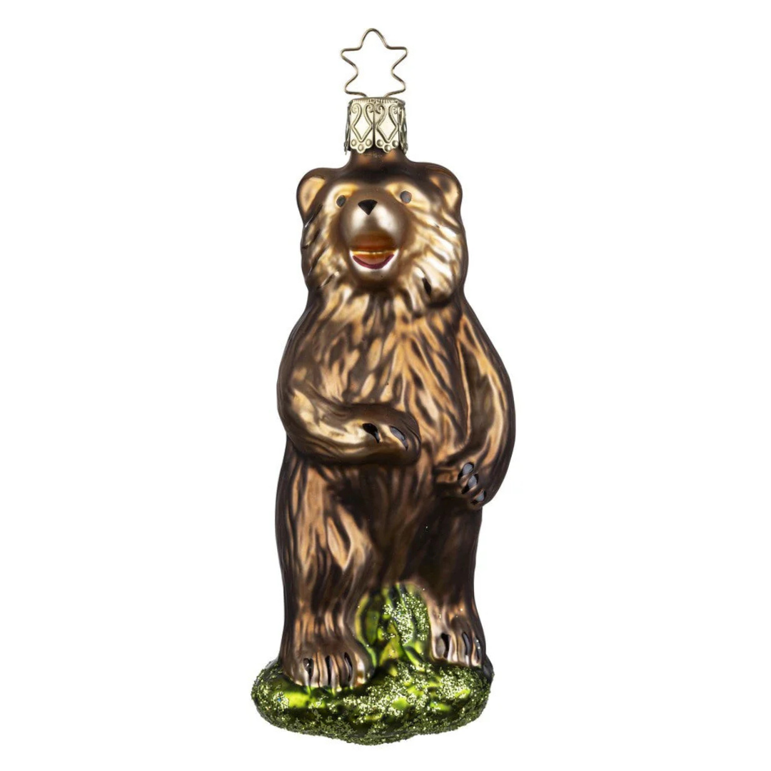 Grizzly by Inge Glas of Germany