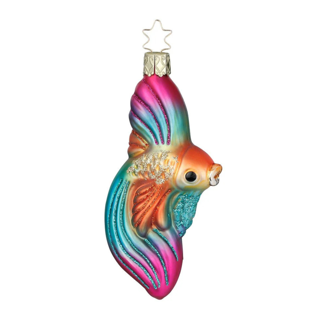 Veil Angelfish by Inge Glas of Germany
