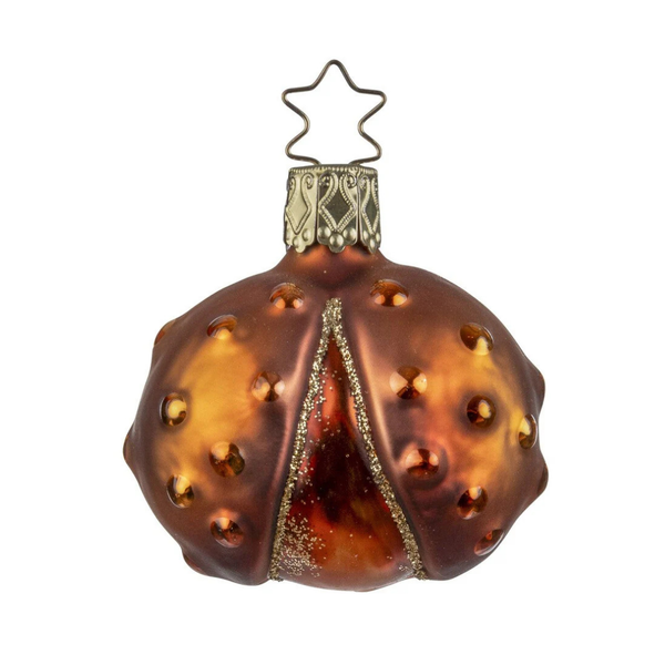 Forest Chestnut, 2" by Inge Glas of Germany
