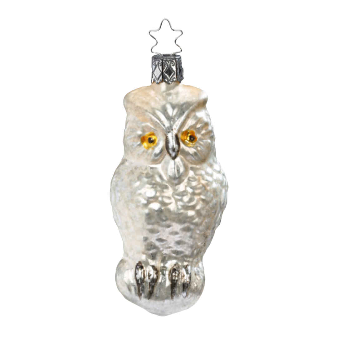 Owl, Nostalgia by Inge Glas