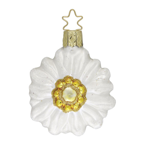 Edelweiss Flower Ornament by Inge Glas of Germany