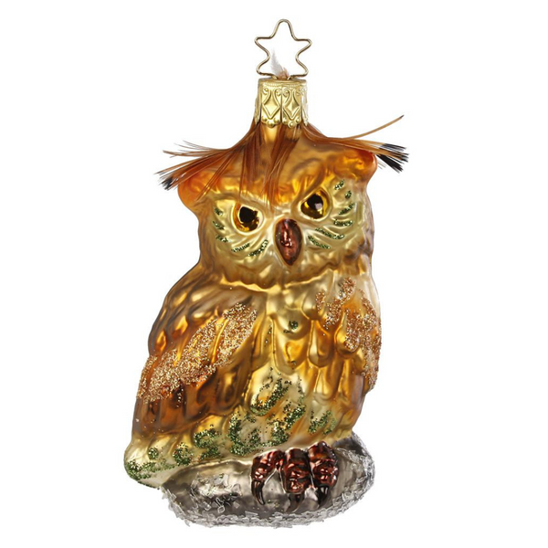 Forest Owl by Inge Glas of Germany